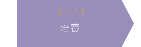 STEP2 培養